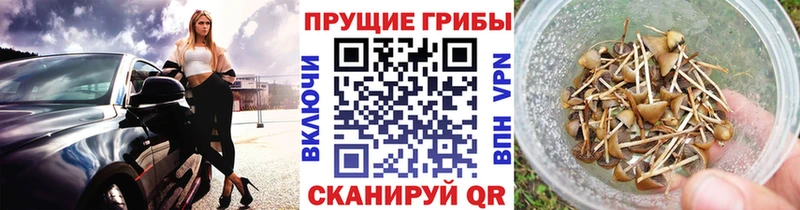 hydra маркетплейс  Ефремов  Псилоцибиновые грибы мицелий 