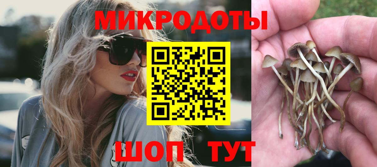 Галлюциногенные грибы Psilocybine cubensis  Вход с VPN  Ефремов  Псилоцибиновые грибы MAGIC MUSHROOMS 