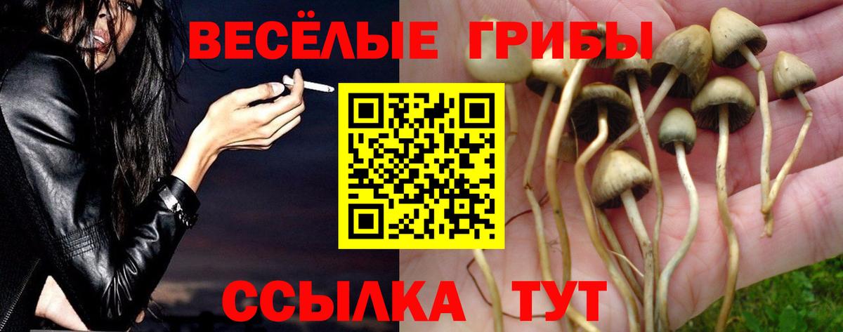 Галлюциногенные грибы Magic Shrooms Ефремов